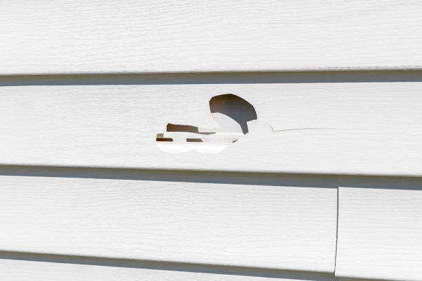 Best Hoarding Cleanup  in Valatie, NY